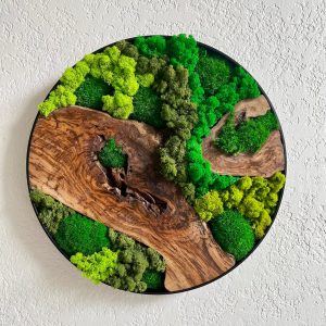 2ft 24 Preserved Moss Wall Art Circle Nature’s Tranquility for Your Home and Office