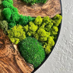 2ft 24 Preserved Moss Wall Art Circle Nature’s Tranquility for Your Home and Office