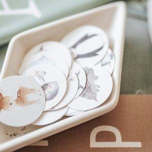 Alphabet Adventure Unlock Literacy with Our STARTER PACK Letter Basket