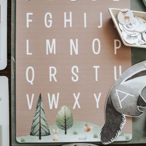 Alphabet Adventure Unlock Literacy with Our STARTER PACK Letter Basket