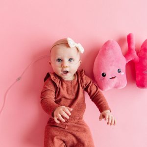 Anatomical Lung Plushie A Unique Item for Medical Professionals and Students