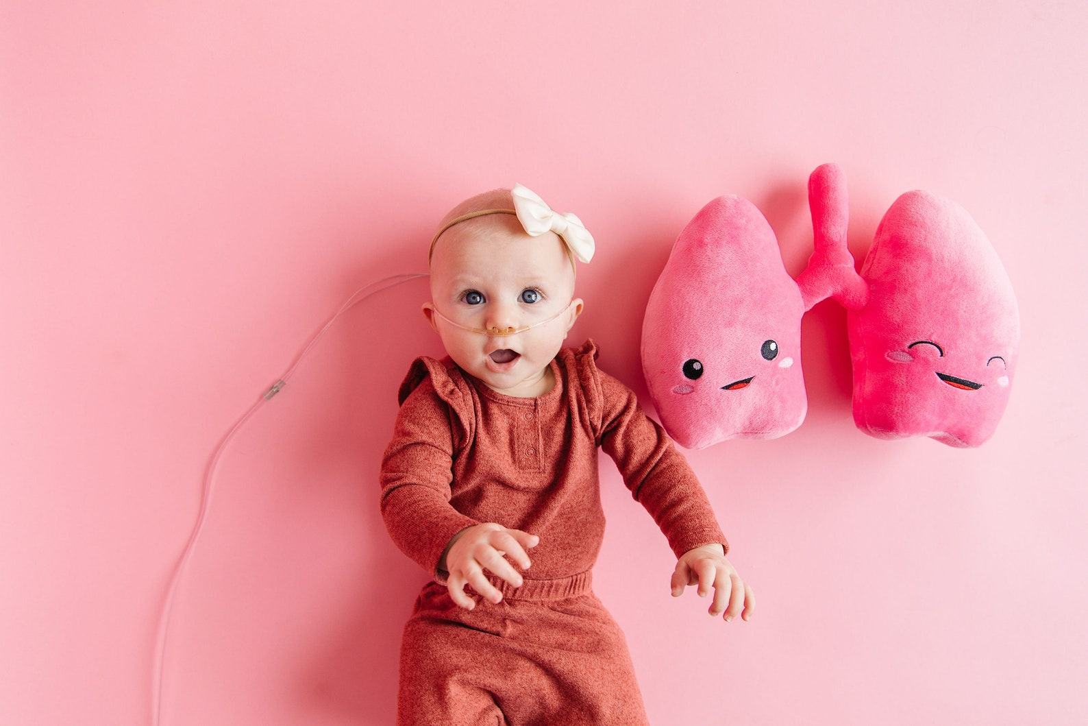 Anatomical Lung Plushie A Unique Item for Medical Professionals and Students - Image 2