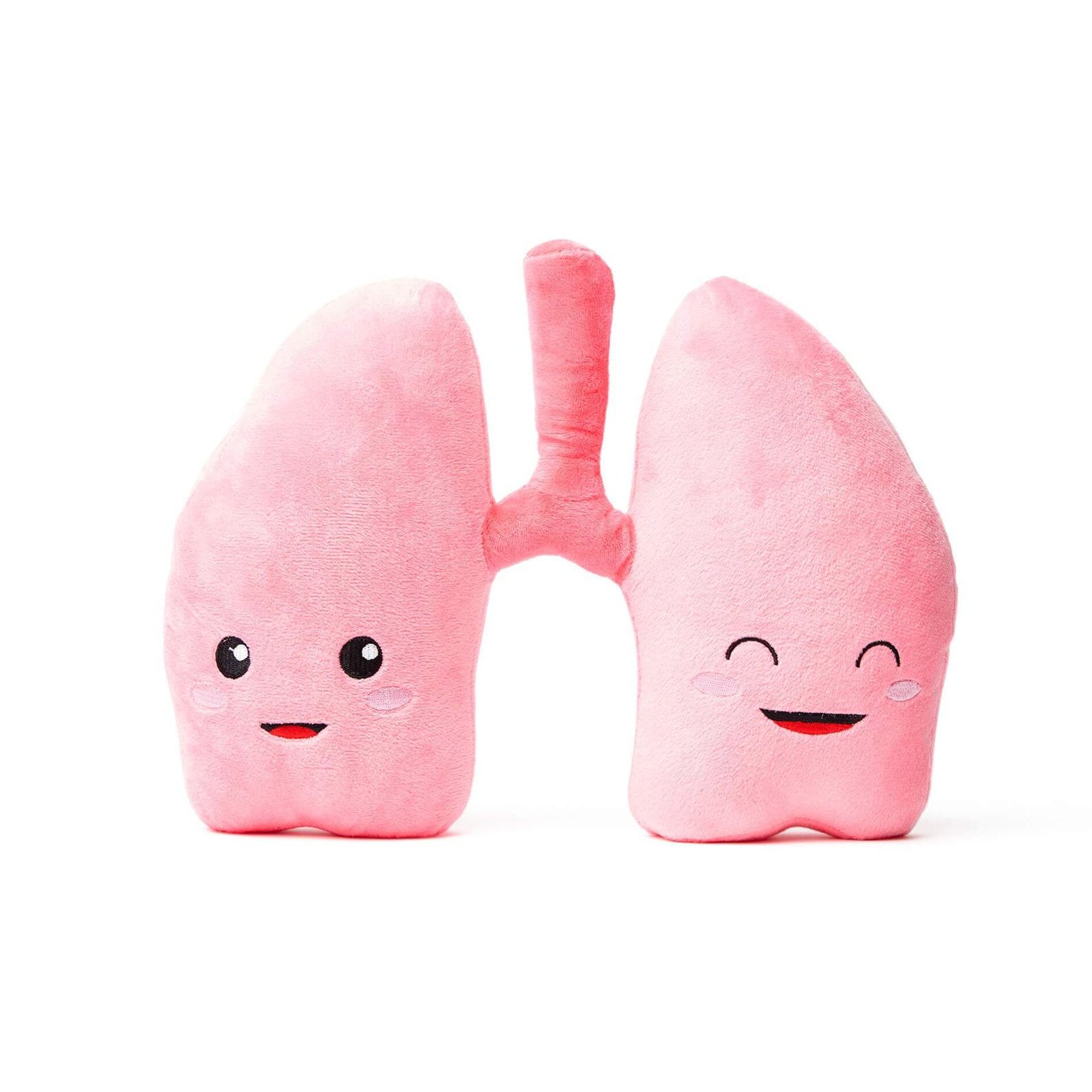 Anatomical Lung Plushie A Unique Item for Medical Professionals and Students
