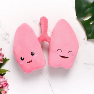 Anatomical Lung Plushie A Unique Item for Medical Professionals and Students