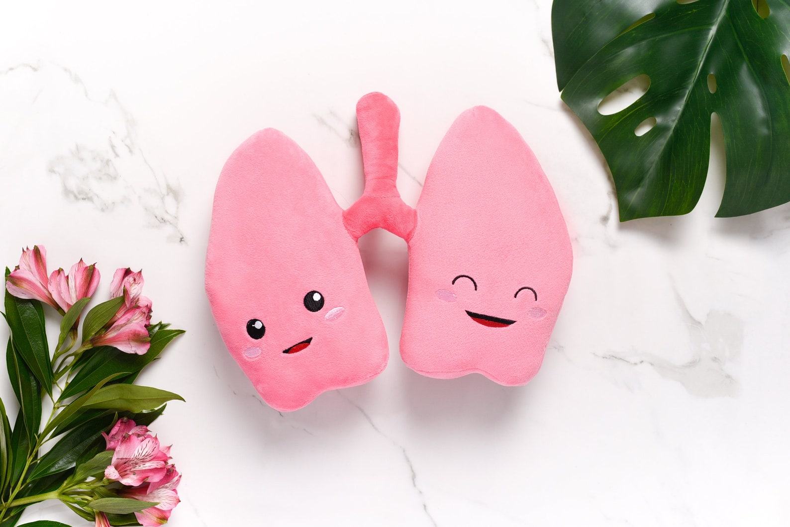 Anatomical Lung Plushie A Unique Item for Medical Professionals and Students - Image 5