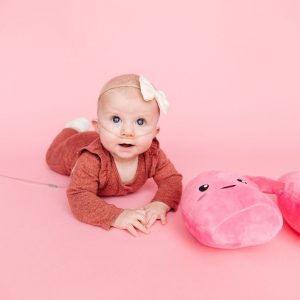 Anatomical Lung Plushie A Unique Item for Medical Professionals and Students