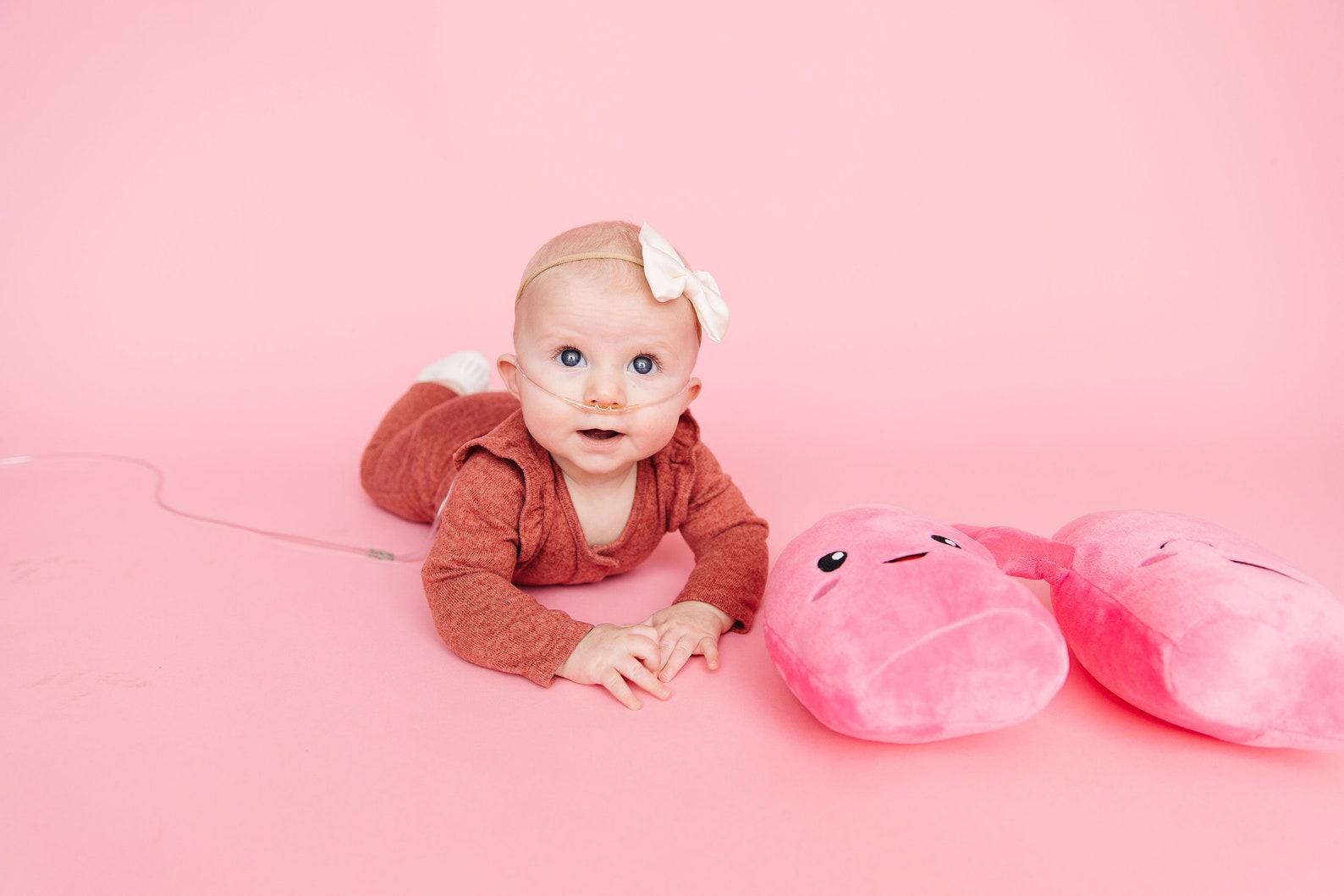 Anatomical Lung Plushie A Unique Item for Medical Professionals and Students - Image 6