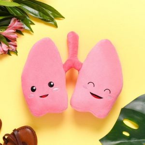 Anatomical Lung Plushie A Unique Item for Medical Professionals and Students