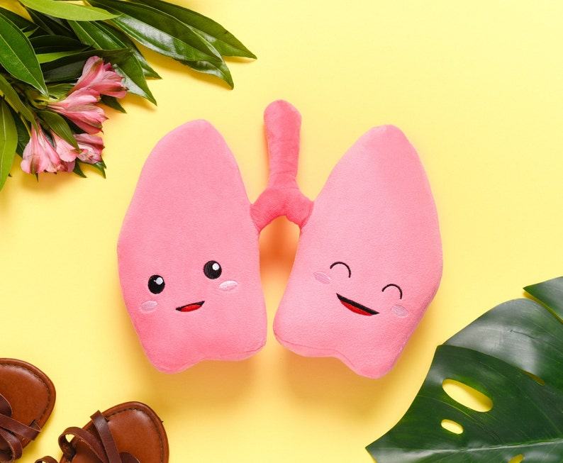 Anatomical Lung Plushie A Unique Item for Medical Professionals and Students