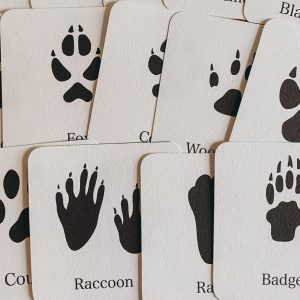 Animal Track Mini Flashcards Unlock the Secrets of Nature’s Footprints