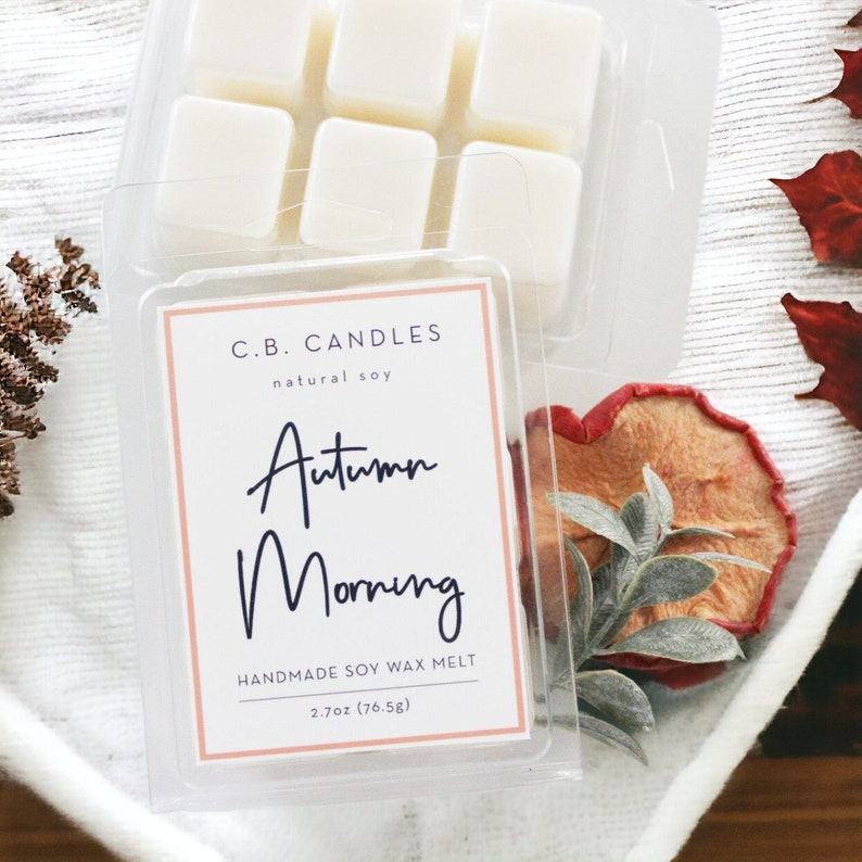 Autumn Morning Handcrafted Soy Wax Melt for Fall/Winter Ambiance