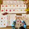Autumnal Adventure Printable Fall Leaves Activity for Toddlers and Homeschoolers