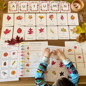 Autumnal Adventure Printable Fall Leaves Activity for Toddlers and Homeschoolers