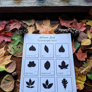 Autumnal Adventure Printable Fall Leaves Activity for Toddlers and Homeschoolers