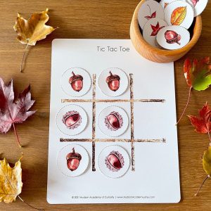 Autumnal Adventure Printable Fall Leaves Activity for Toddlers and Homeschoolers