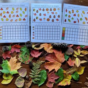Autumnal Adventure Printable Fall Leaves Activity for Toddlers and Homeschoolers