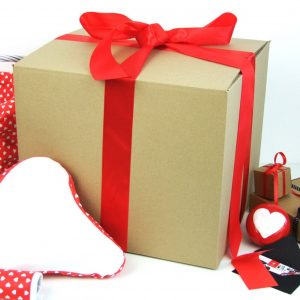 BASKET BIKE Folk Insert Waterproof Protection for Your Ride