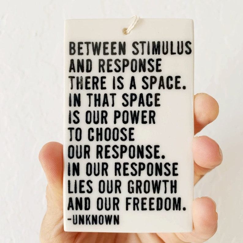 Between Stimulus and Response A Ceramic Canvas for Daily Inspiration