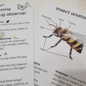 Bug Explorer’s Paradise Unleash Your Child’s Curiosity with Our Entomology Lab Pretend Play Set
