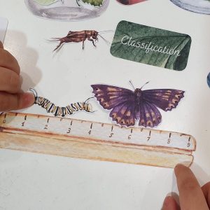 Bug Explorer’s Paradise Unleash Your Child’s Curiosity with Our Entomology Lab Pretend Play Set
