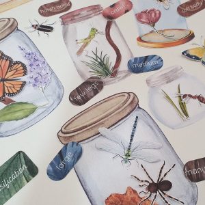 Bug Explorer’s Paradise Unleash Your Child’s Curiosity with Our Entomology Lab Pretend Play Set