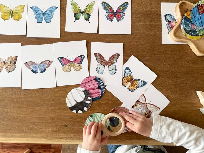 Butterfly Matching Cards Montessori-Inspired Nature Study for Toddlers