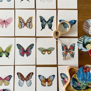 Butterfly Matching Cards Montessori-Inspired Nature Study for Toddlers