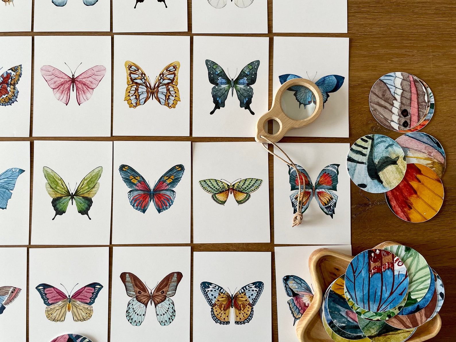 Butterfly Matching Cards Montessori-Inspired Nature Study for Toddlers - Image 4