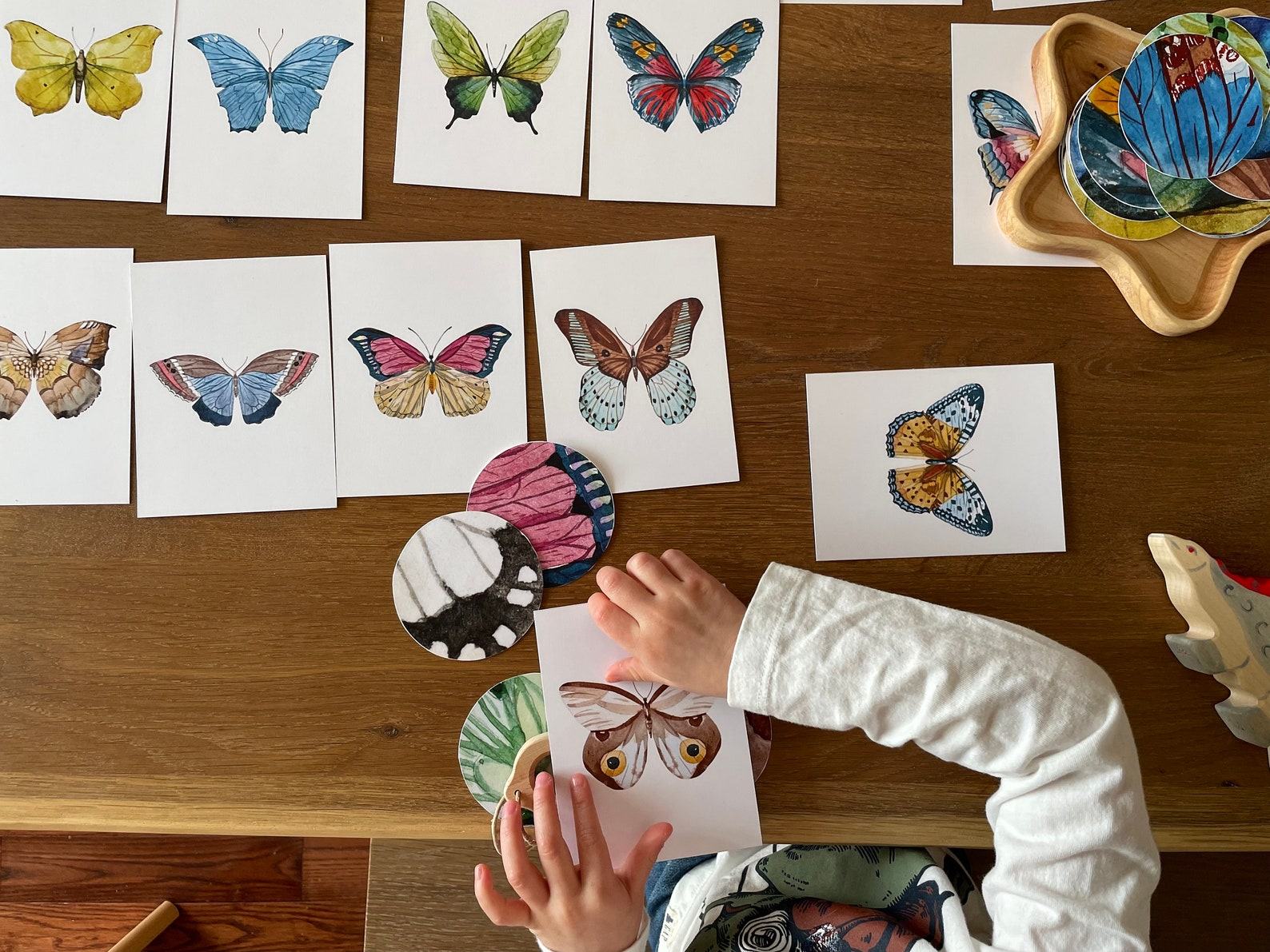 Butterfly Matching Cards Montessori-Inspired Nature Study for Toddlers - Image 5