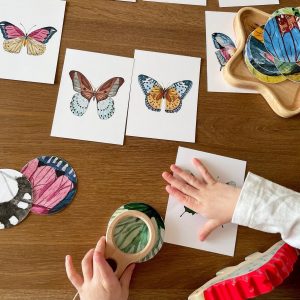 Butterfly Matching Cards Montessori-Inspired Nature Study for Toddlers