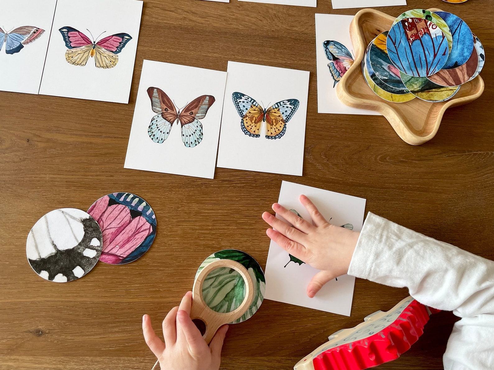 Butterfly Matching Cards Montessori-Inspired Nature Study for Toddlers - Image 2