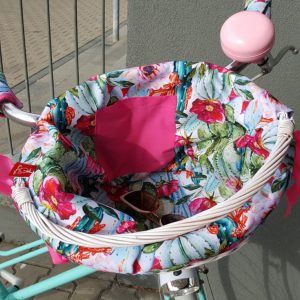 Cacti Bicycle Set Ride with Desert Flair