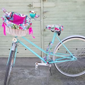 Cacti Bicycle Set Ride with Desert Flair