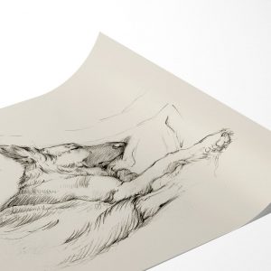 Captivating German Shepherd Drawing A Masterpiece for Your Walls