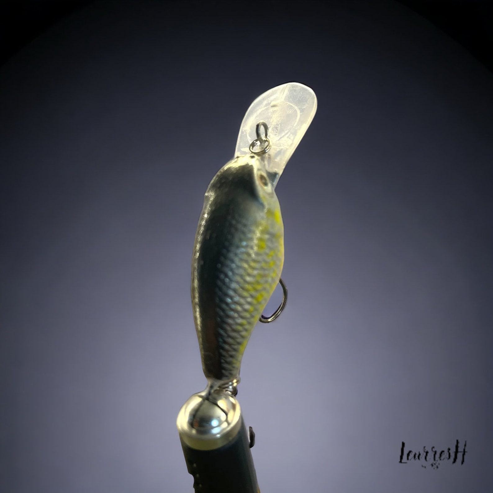 Captivating SilverBurst Trout Lure Handcrafted Precision for Pike and Perch Dominance