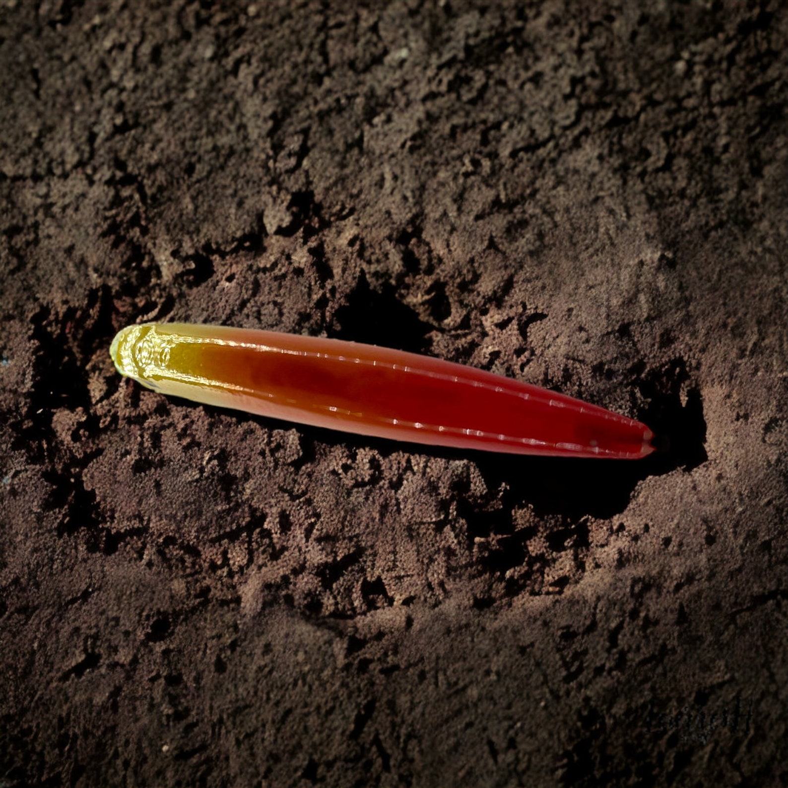 Captivating the Rainbow The Arc en Ciel – An Enchanting Lure for Trout