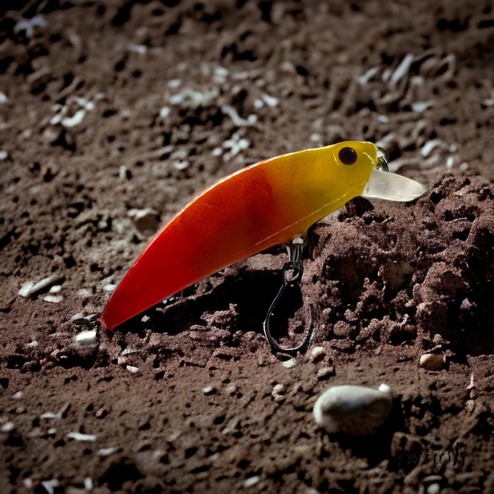 Captivating the Rainbow The Arc en Ciel – An Enchanting Lure for Trout