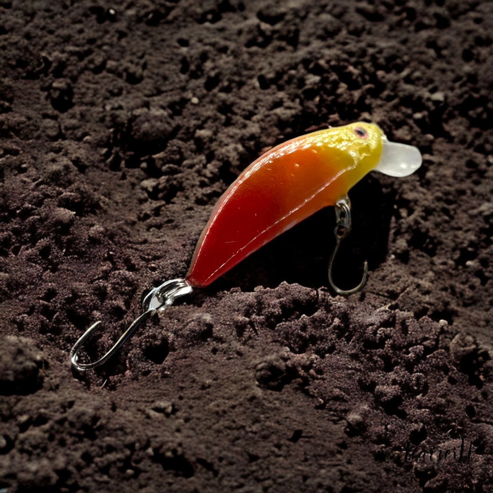 Captivating the Rainbow The Arc en Ciel – An Enchanting Lure for Trout