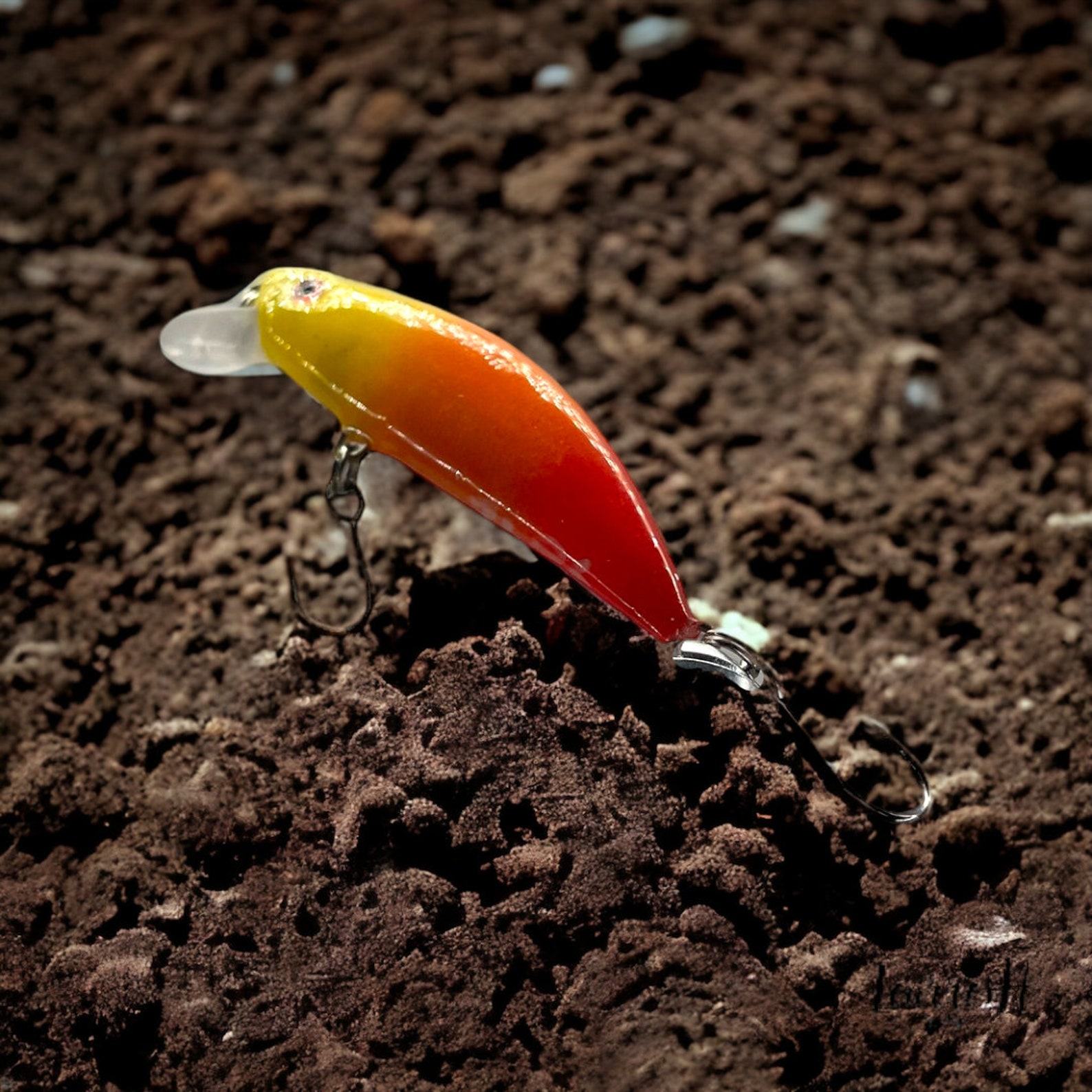 Captivating the Rainbow The Arc en Ciel – An Enchanting Lure for Trout