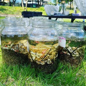 Celestial Embrace Venus in Pisces Anointing Oil for Divine Love and Harmony