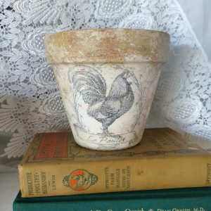 Charming French Country Rooster Terracotta Planter Rustic Hen or Chicken Le Poulet in Distressed Aged Look (4 or 6 in Clay Pot)