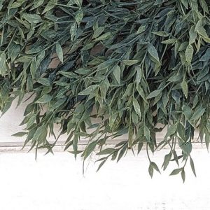 Charming Greenery Mini Wreath A Touch of Nature for Your Home