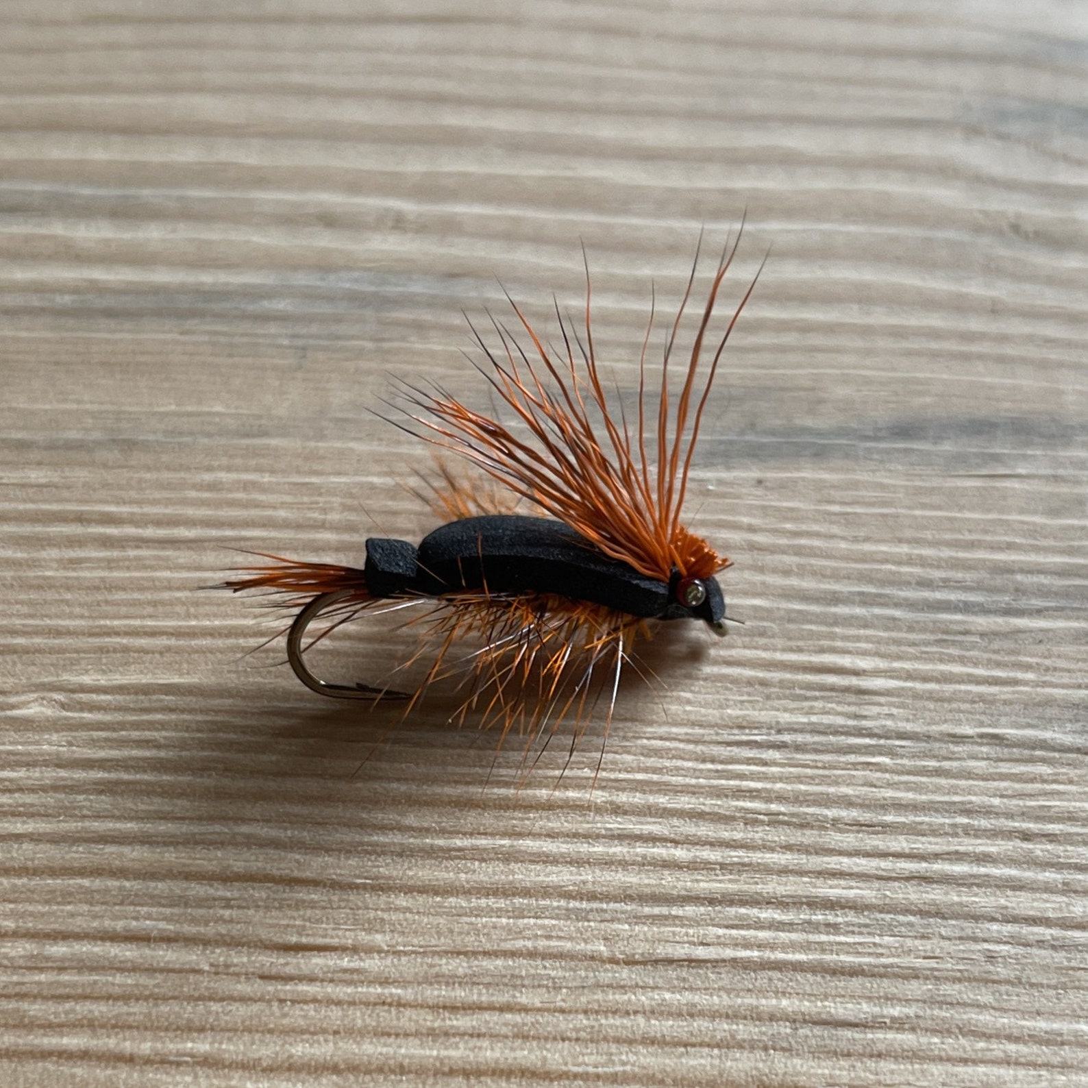 Cicada Fly Pattern Brood 2024 – The Ultimate Trout Fishing Item for Anglers