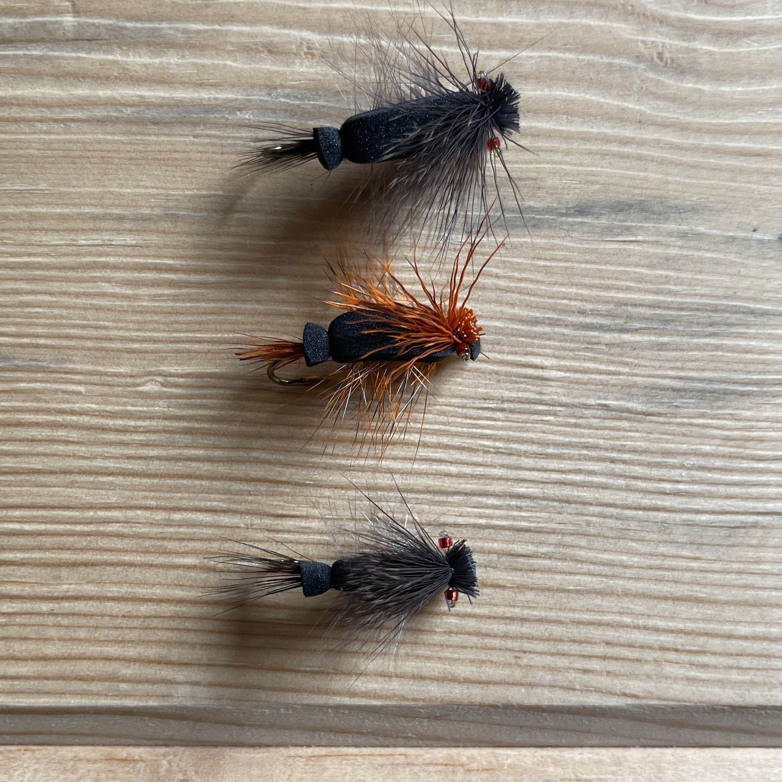 Cicada Fly Pattern Brood 2024 – The Ultimate Trout Fishing Item for Anglers