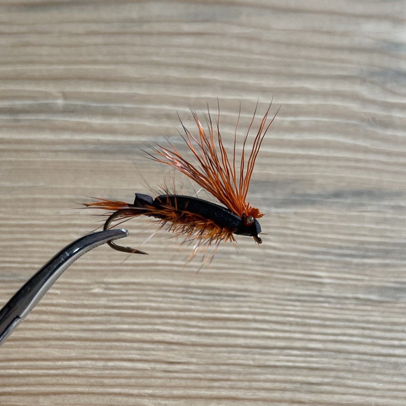 Cicada Fly Pattern Brood 2024 – The Ultimate Trout Fishing Item for Anglers