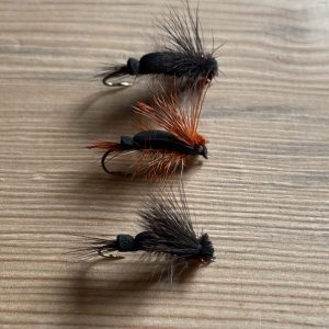 Cicada Fly Pattern Brood 2024 – The Ultimate Trout Fishing Item for Anglers