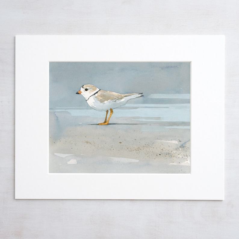 Coastal Serenity Piping Plover Beach Art Print for Tranquil Seashore Decor