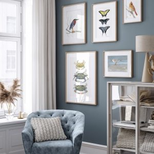 Coastal Serenity Piping Plover Beach Art Print for Tranquil Seashore Decor