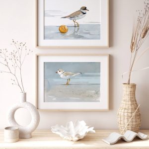 Coastal Serenity Piping Plover Beach Art Print for Tranquil Seashore Decor