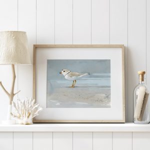 Coastal Serenity Piping Plover Beach Art Print for Tranquil Seashore Decor